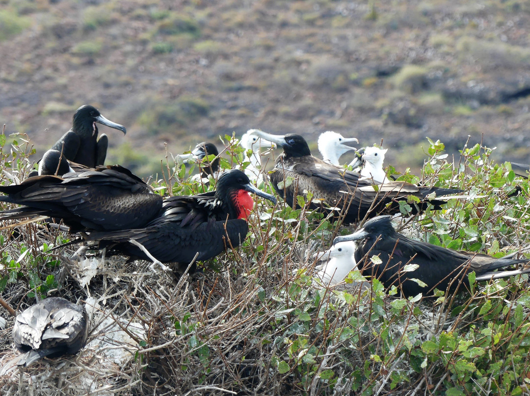 El Duque Adventures-拉巴斯必去景点