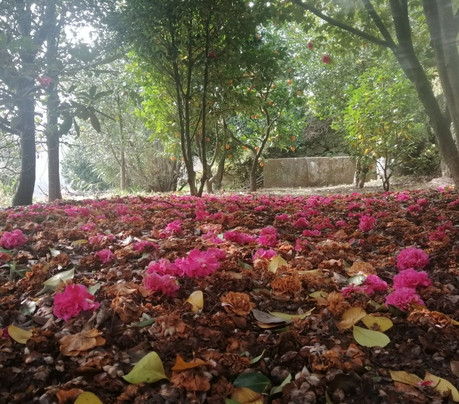 Ecovia do Vez-Arcos de Valdevez必去景点