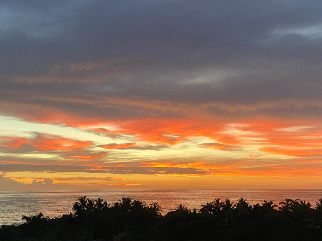 Occidental Tamarindo主图