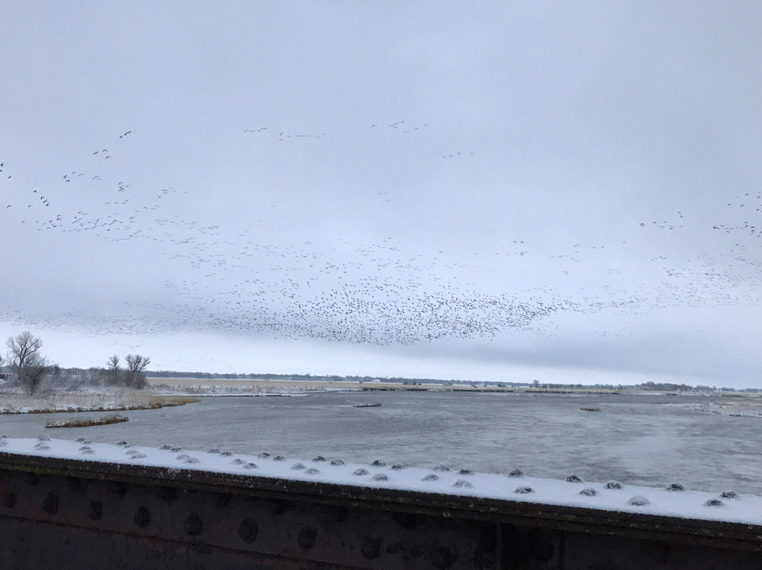 Hike-Bike Trail Bridge-卡尼必去景点