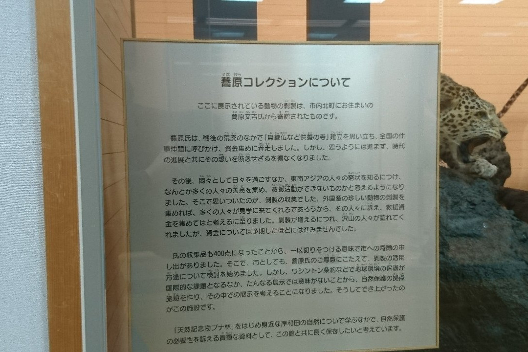 Kishiwada Nature Musium-岸和田市必去景点