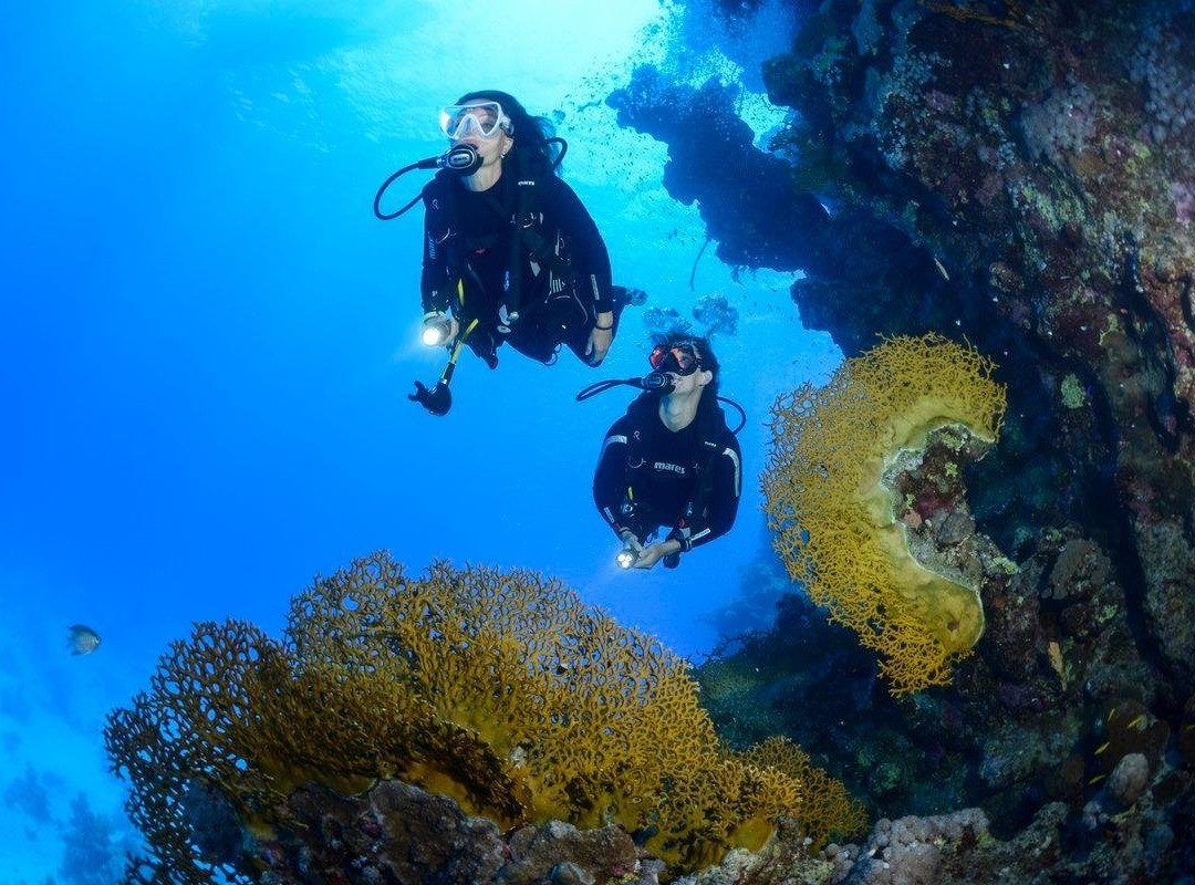 MaxDeep Dive Center-吉达必去景点