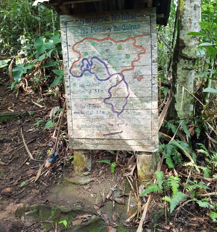 Jardín Botánico San Jorge-Ibague必去景点