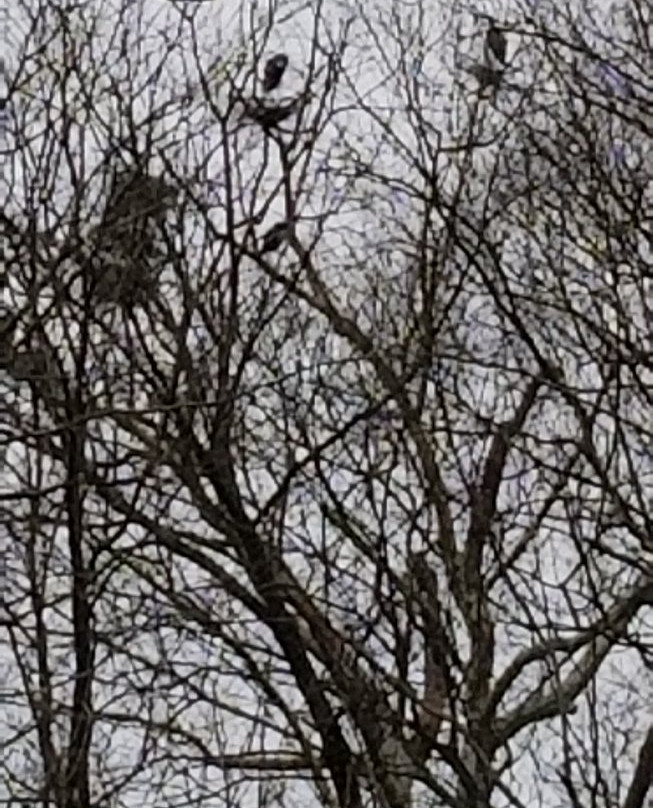 Seven Islands State Birding Park-Kodak必去景点