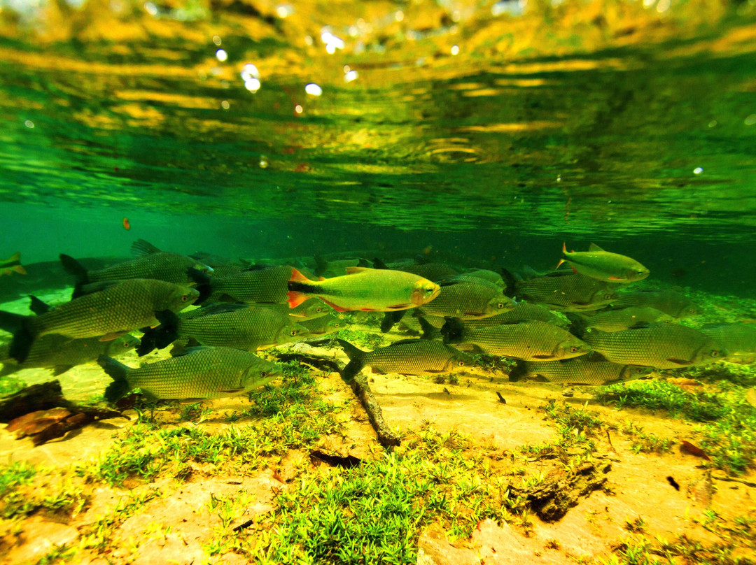 Boutique Travel Experts-大坎普市必去景点