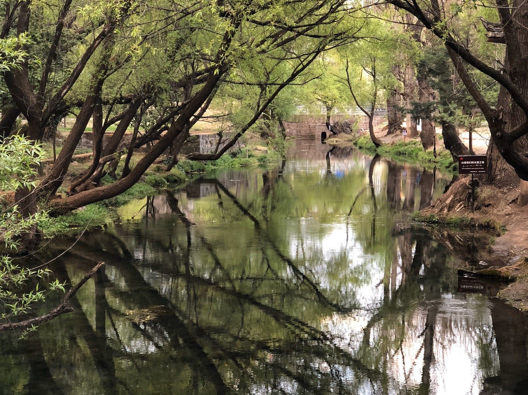 九鼎龙潭-丽江市必去景点