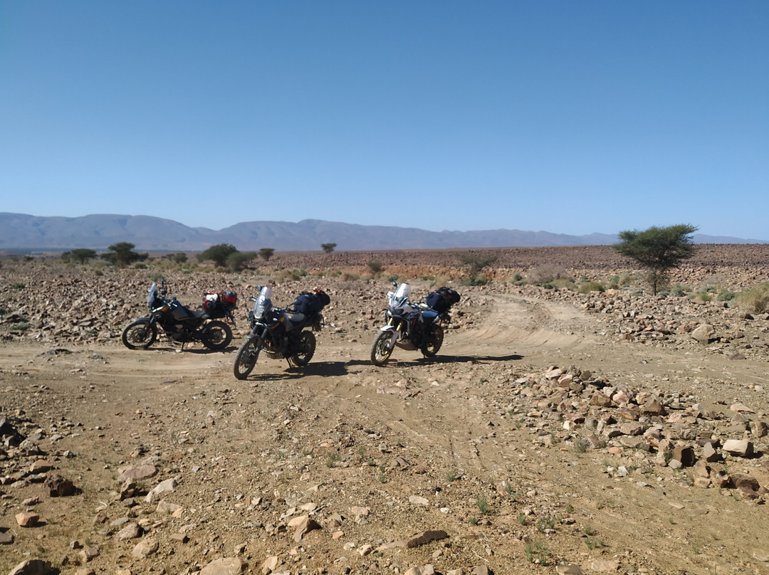 M2R-马拉喀什必去景点