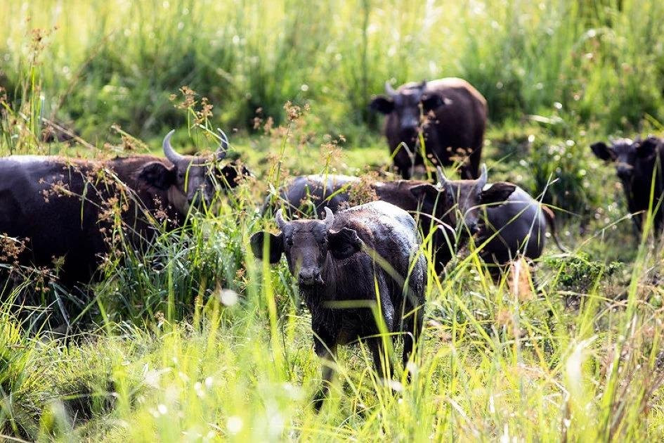 Across Africa Tours LLC-Owendo必去景点