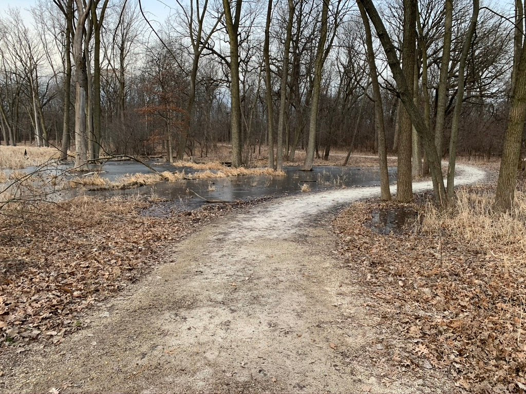 Wood Dale Grove Forest Preserve-Wood Dale必去景点