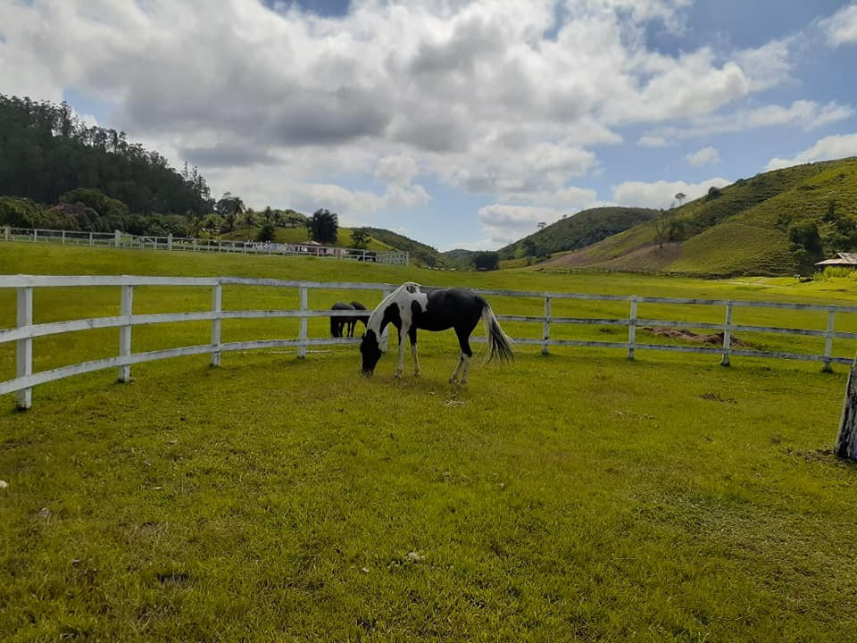 Fazenda Ribeirão Hotel De Lazer主图