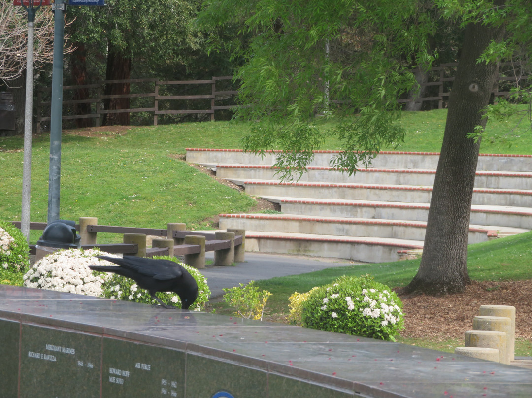 Cupertino Memorial Park-库柏蒂诺必去景点