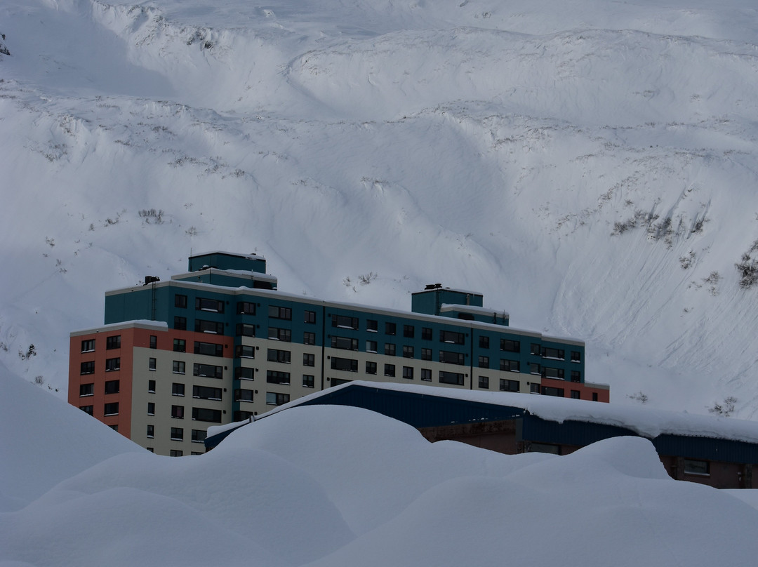 Glacier View Condo Suites主图