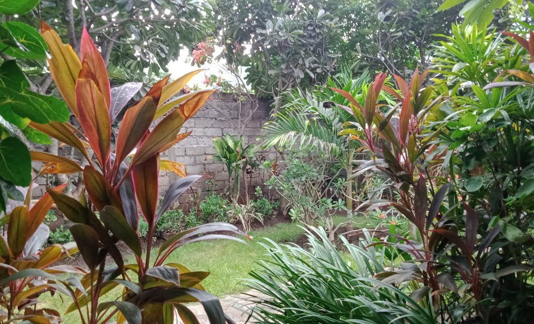 Pande Guest House主图