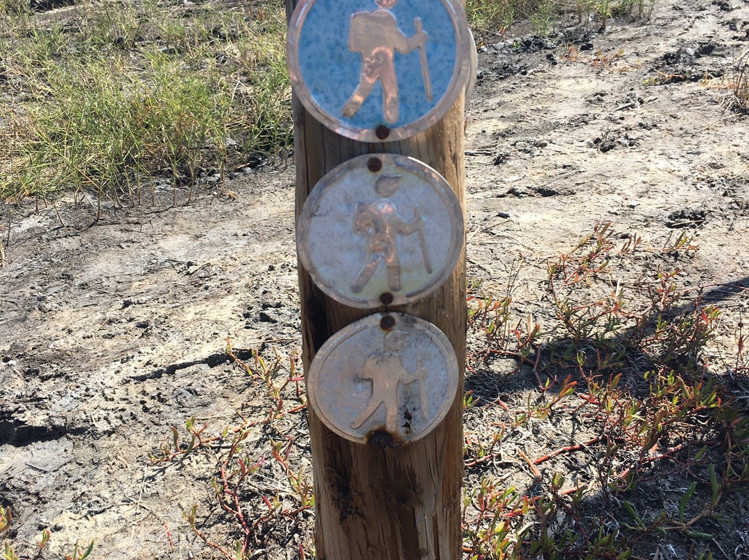 Estero Bay Preserve State Park-迈尔斯堡海滩必去景点