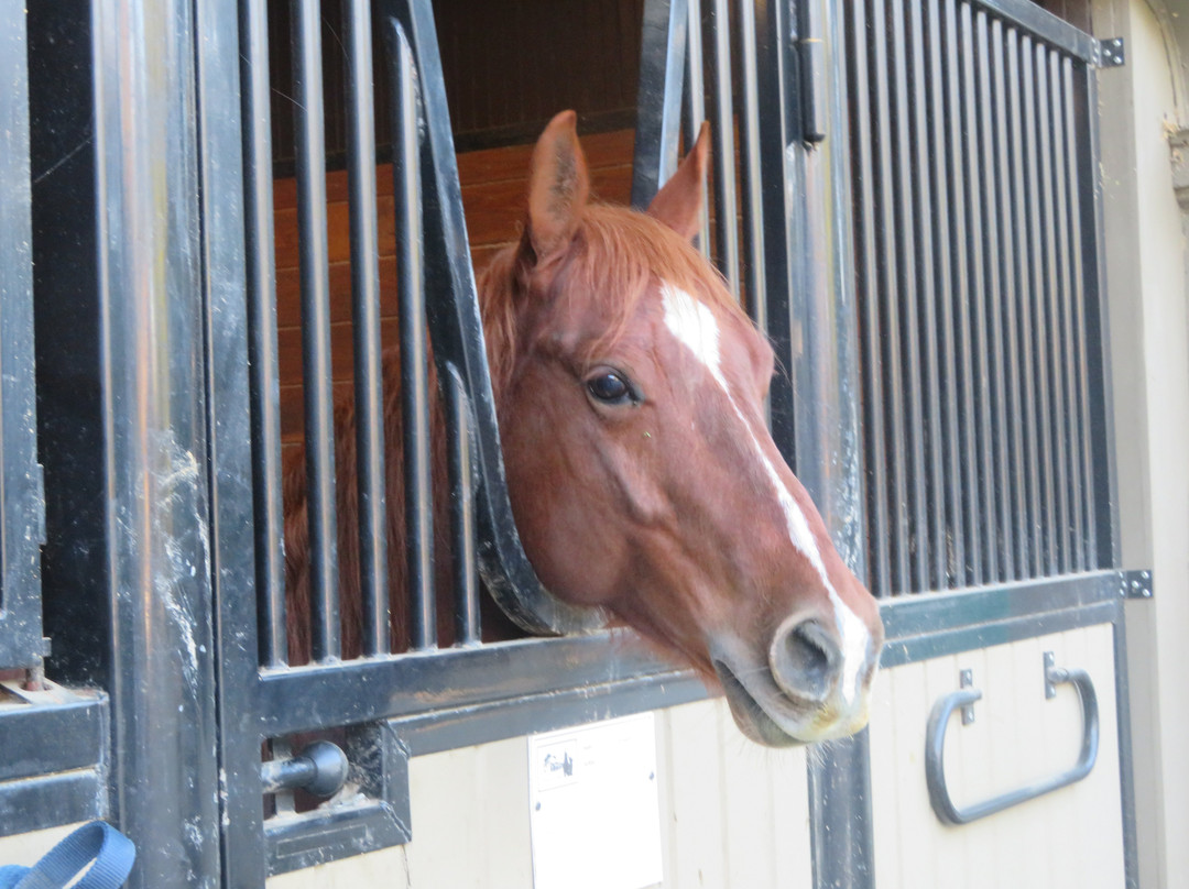 Wunderlich County Park-Woodside必去景点