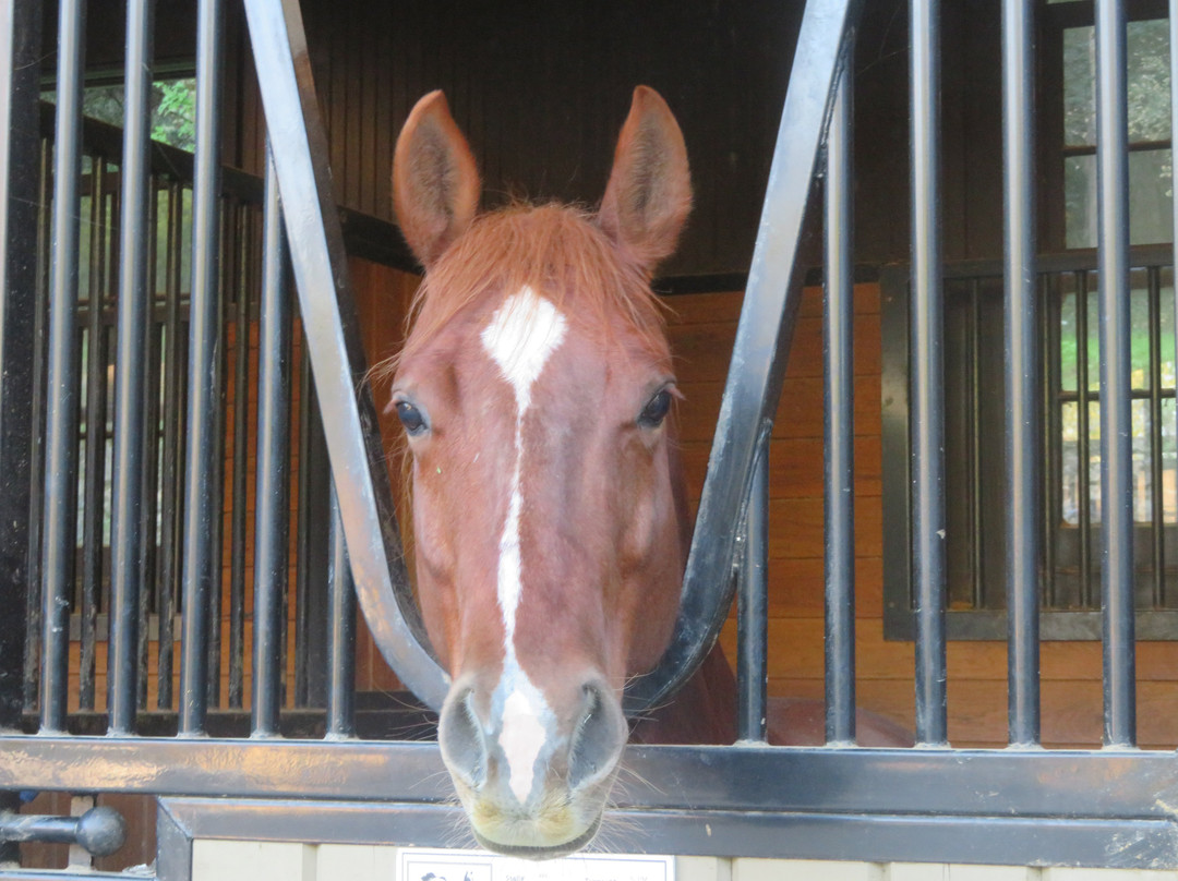 Wunderlich County Park-Woodside必去景点