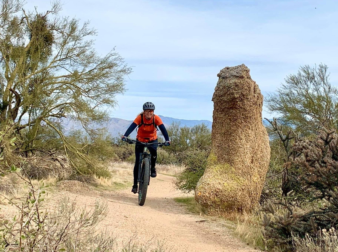 E-migos Electric Mountain Bike Tours-凤凰城必去景点