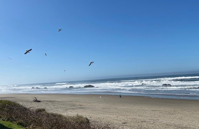 Chinook Winds Casino Resort主图