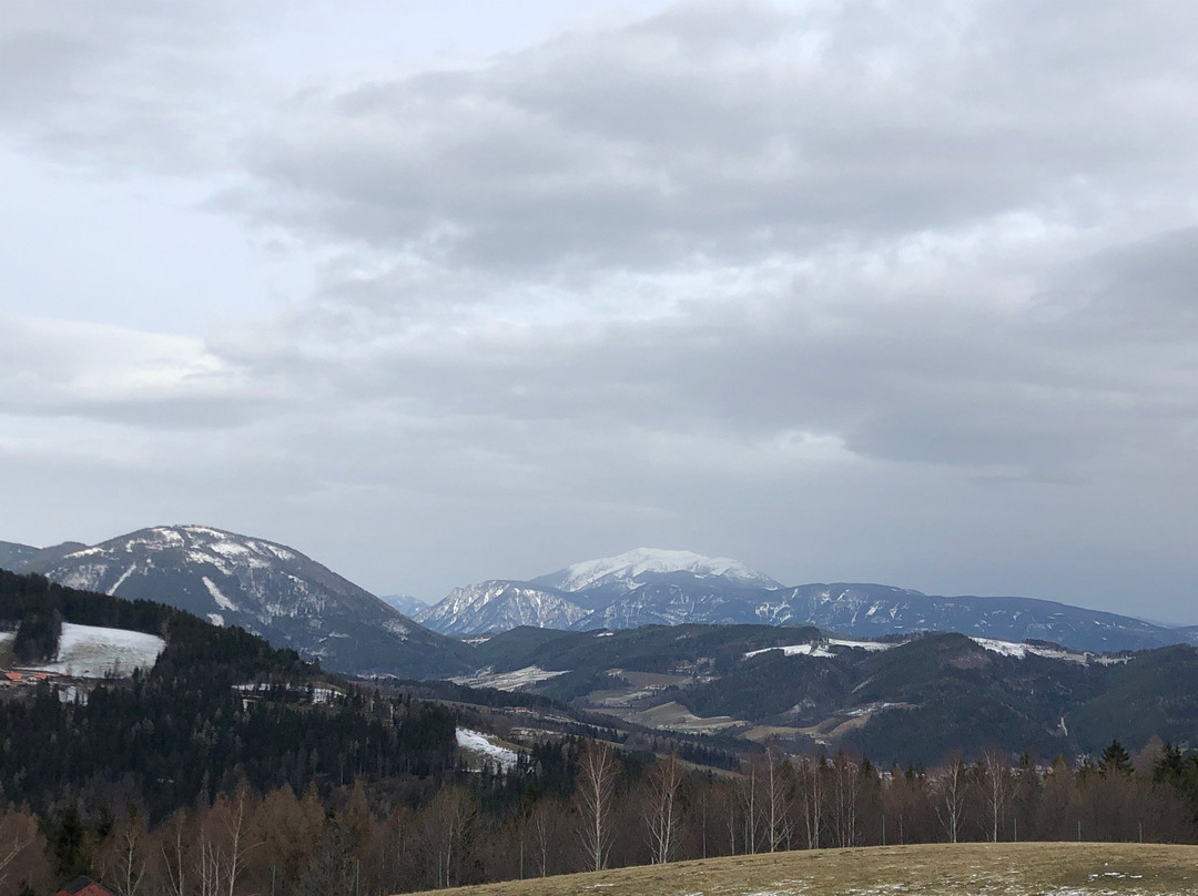 Gasthof-Pension Odenhof主图