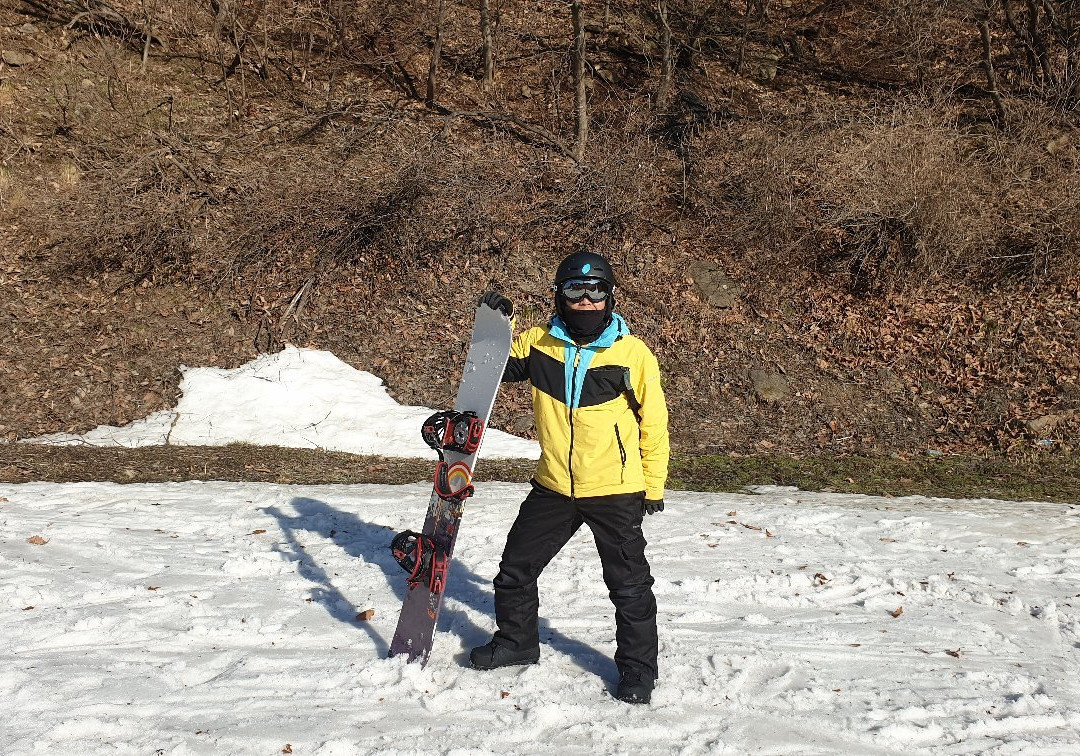 阳智松林滑雪场主图