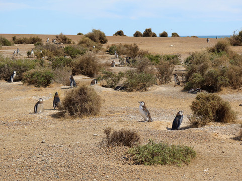 Reserva Natural Estancia San Lorenzo-马德林港必去景点