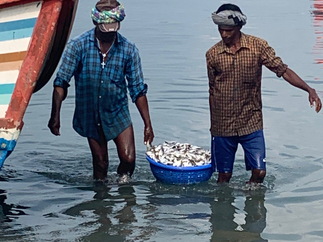 Godwit Adventures - Village Bike tour & Bidwatching-阿拉普扎必去景点