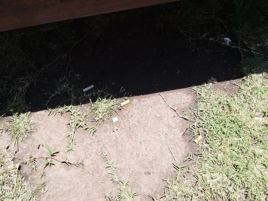 Hostal L'Hirondelle主图