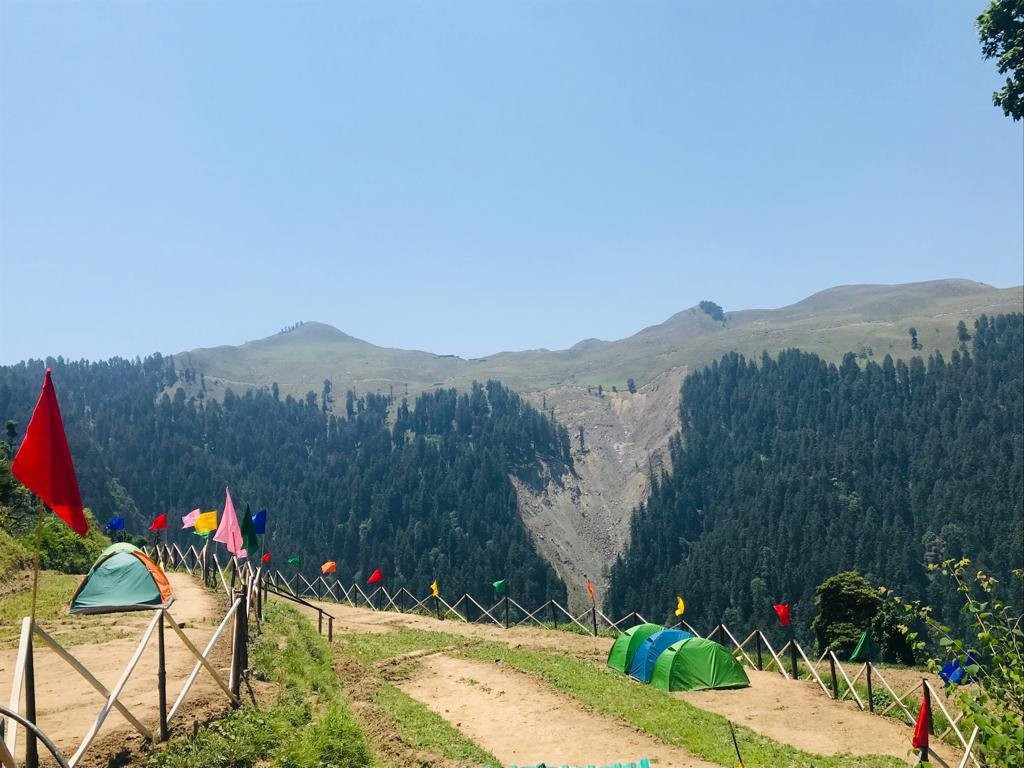 Meadows Camps