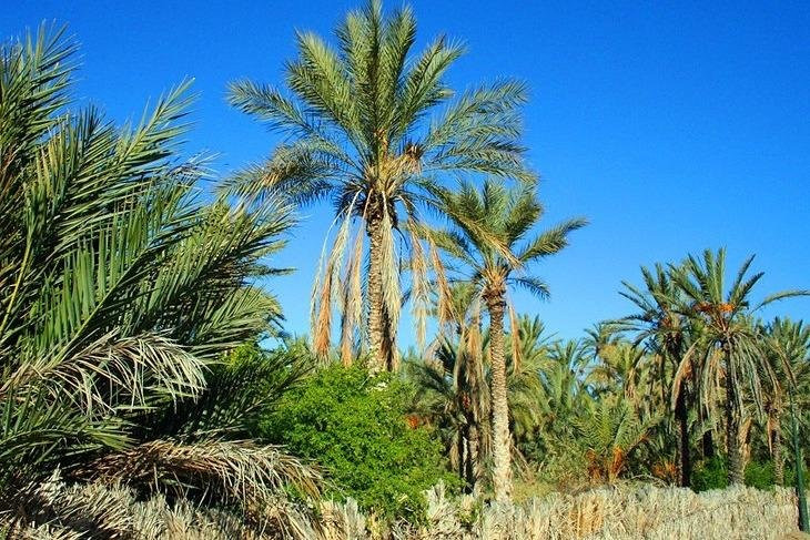 Across Africa Tours LLC-Zarzis必去景点