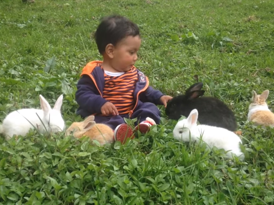 Granja Guacamaya-Chipaque必去景点