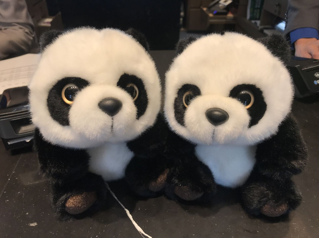 成都象南里凯悦嘉寓酒店主图