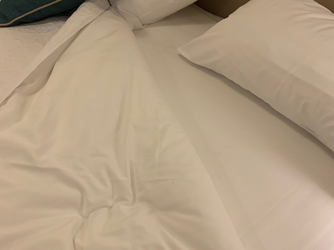 Lagoa Dos Pastorinhos主图