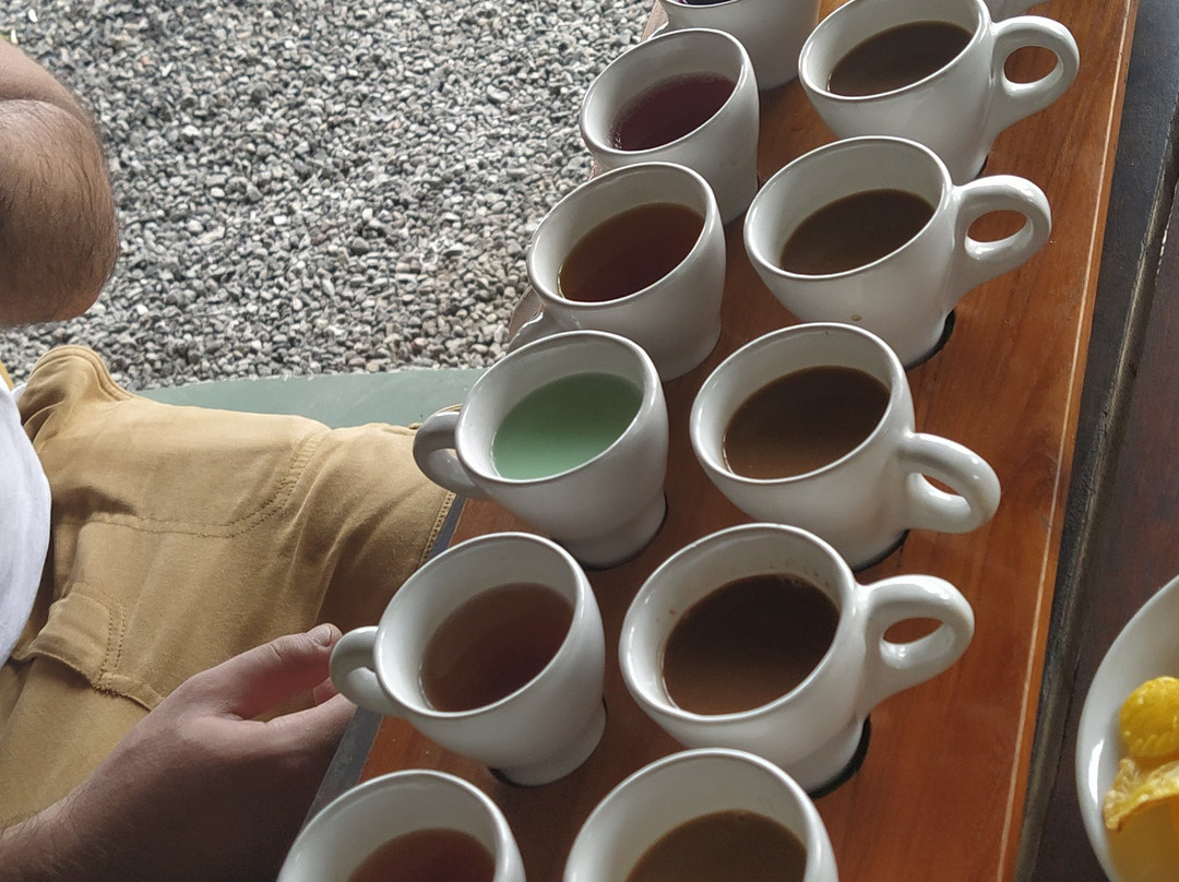 GetTourDriver - Bali Day Tours, Activities, Attractions & Bali Car With Private Driver-登巴萨必去景点