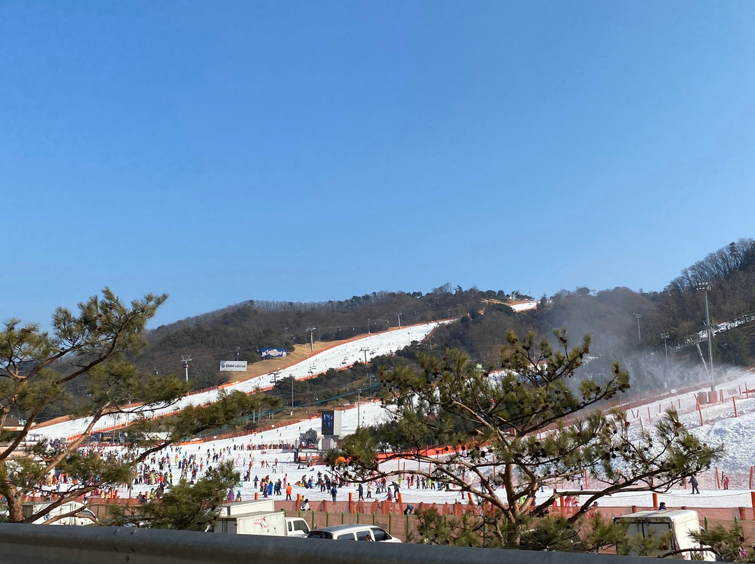 Vivaldi Park Ocean World-洪川郡必去景点