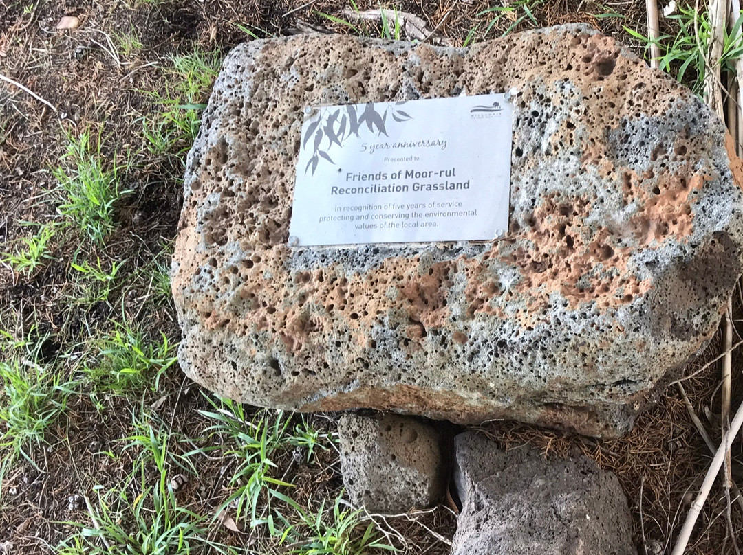 Eltham War Memorial Park-Eltham必去景点