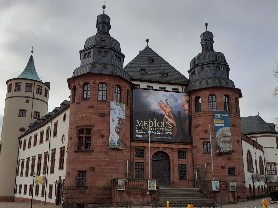 Historisches Museum der Pfalz Speyer景点图片
