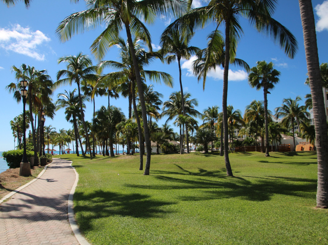 Wilhelmina Park-奥腊涅斯塔德必去景点