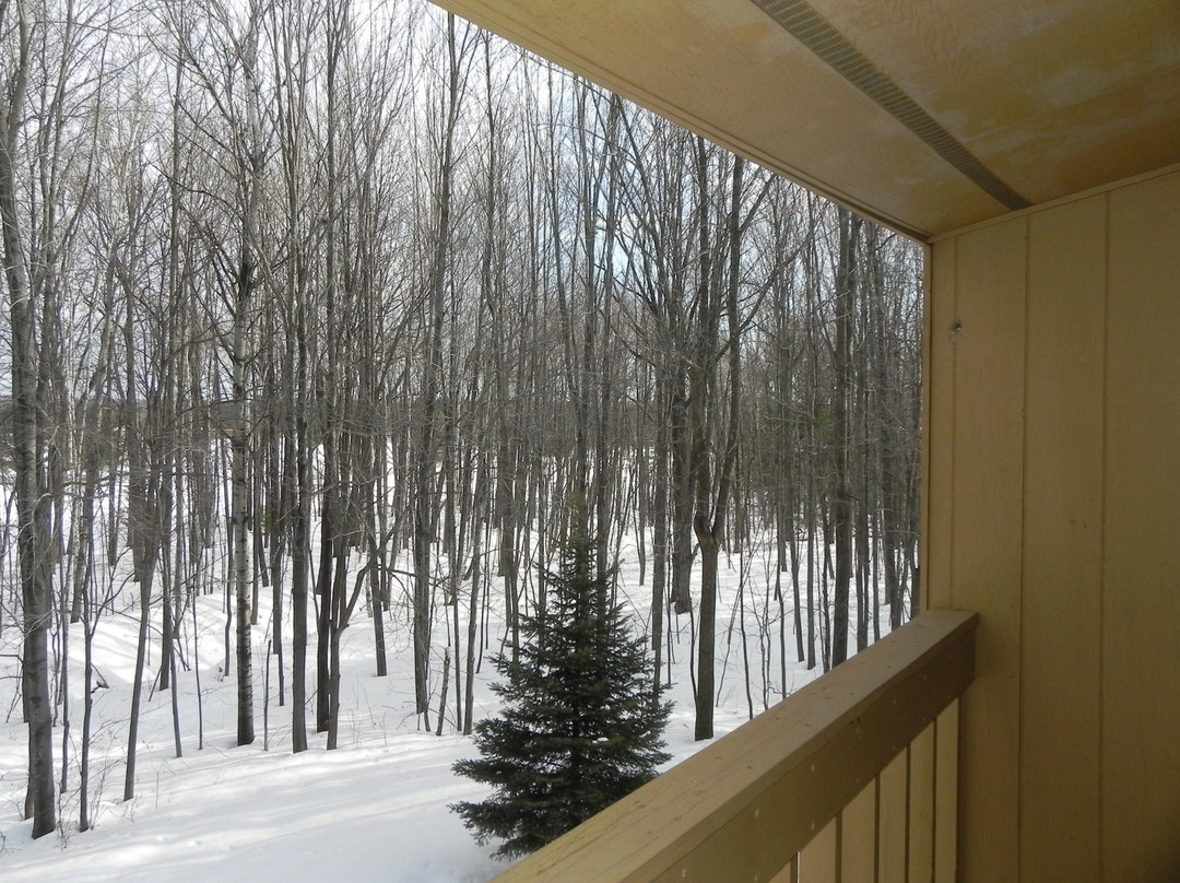 Rib Mountain Inn & Townhouses主图