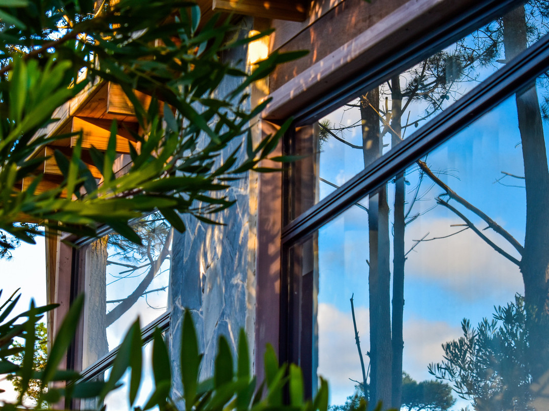 Bella Bungalows主图