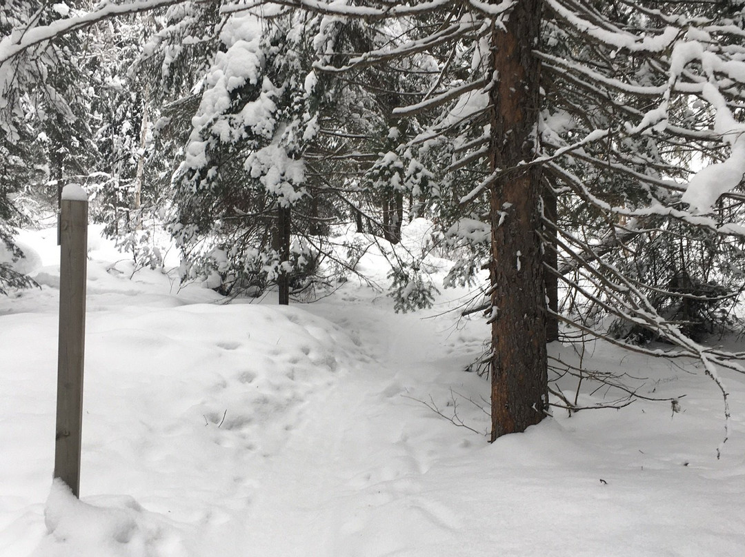 Hersey Lake Conservation Area-Timmins必去景点