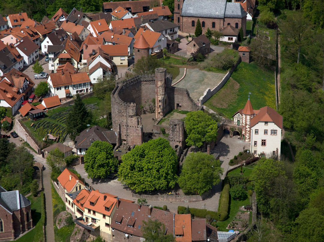 Dilsberg Castle Fortress景点图片