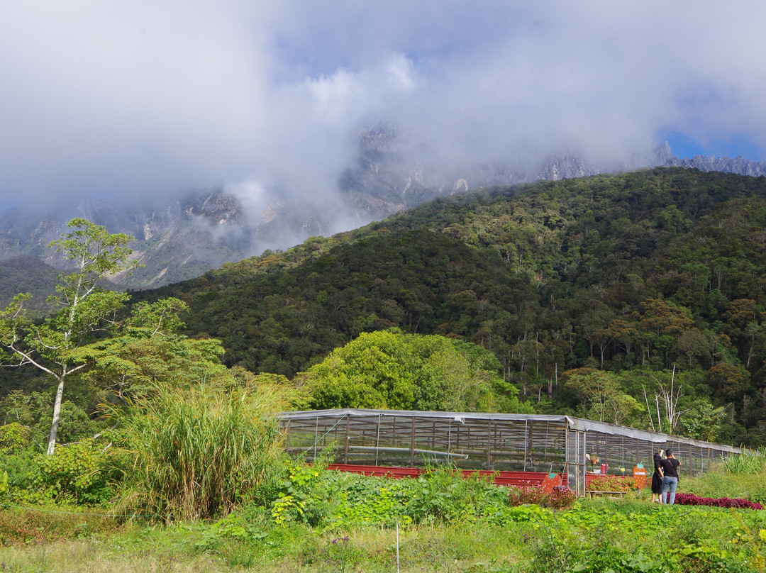 Mesilou Highland Strawberry Farm-昆达山必去景点