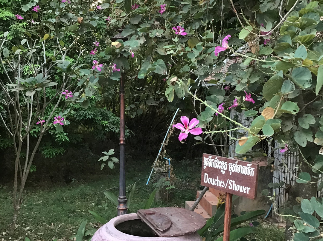 Rajabori Villas主图