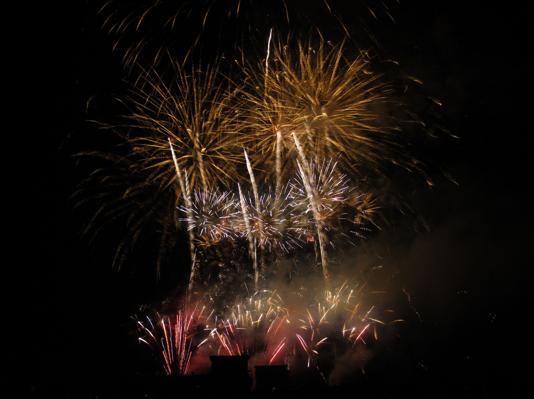 Inashiki Summer Festival Fireworks景点图片
