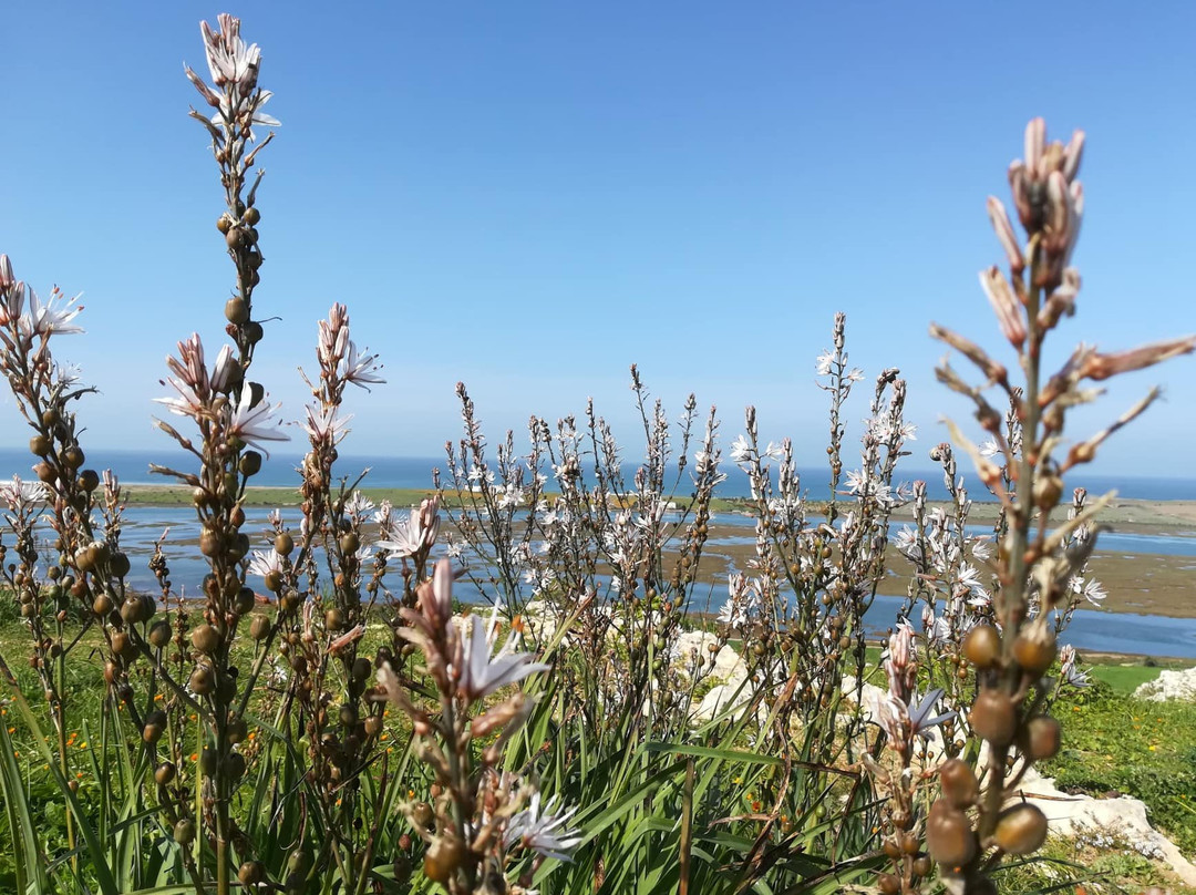 Le Temps Perdu主图