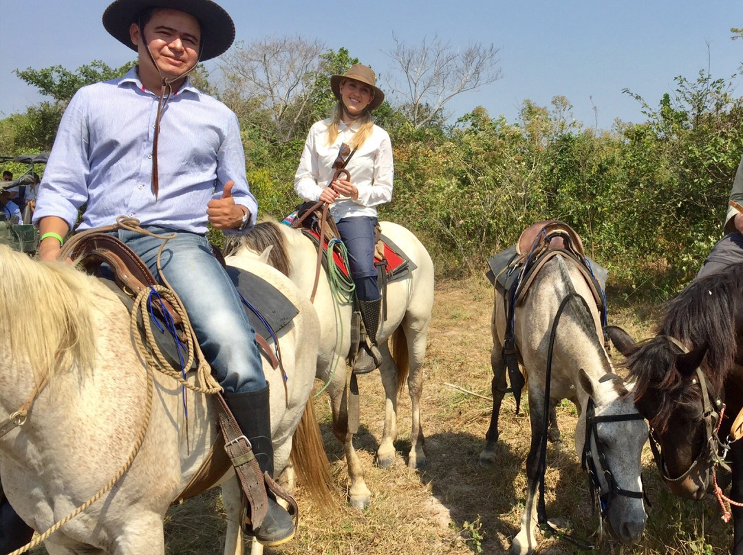 Ecolodge Juan Solito主图