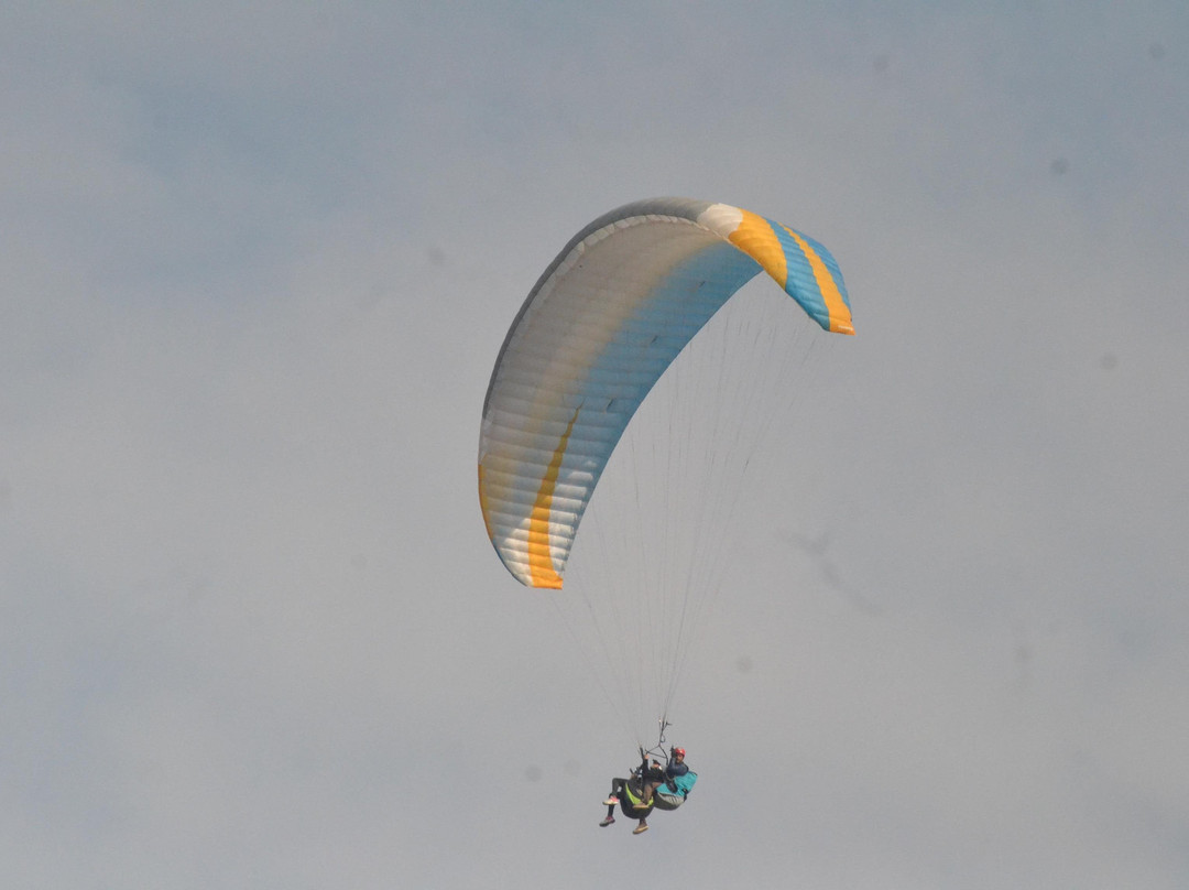Bir Billing Paragliding Adventure景点图片