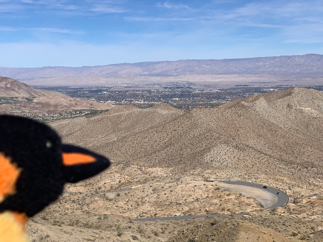 San Bernardino National Forest-圣贝纳迪诺必去景点