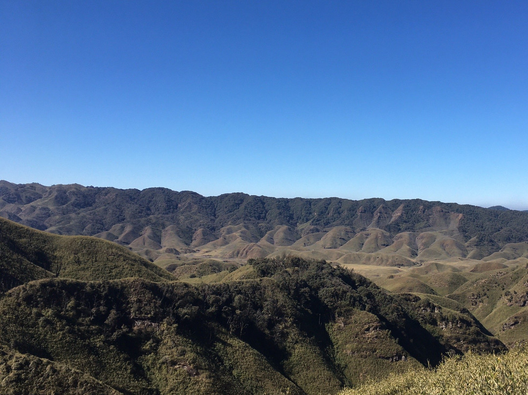Dzukou Valley景点图片