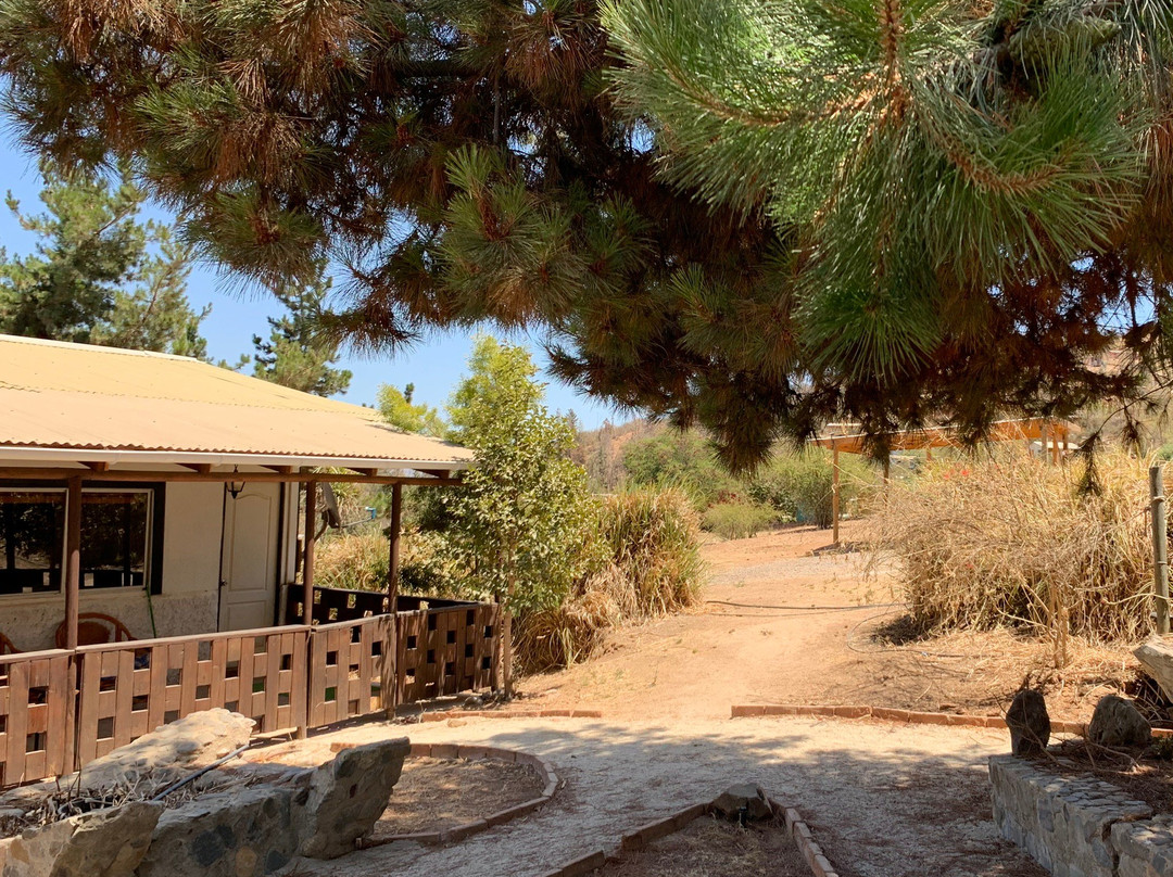 Rancho Vida Sana-Olmue必去景点